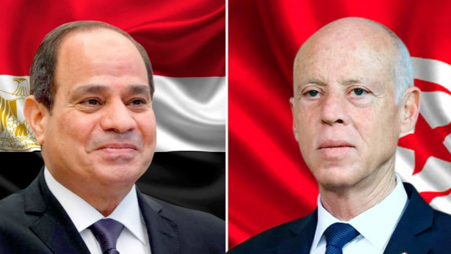  رئيس الجمهورية يثني على دور مصر في إيصال المساعدات إلى غزة