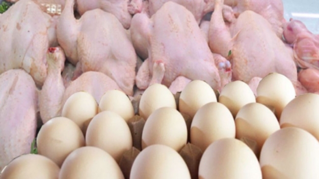 اتحاد الفلاحة يؤكد توفير 12 ألف طن من اللحوم البيضاء و20 مليون بيضة كمخزون إستراتيجي لشهر رمضان