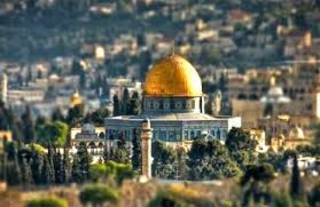 ستنطلق من تونس نحو غـ.ـزّة.. قافلة تضامنيّة لفائدة الشعب الفلسطيني