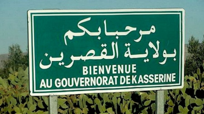مدير الصحة بالقصرين ينفي تعرض طفلة لهجوم من حيوان مفترس