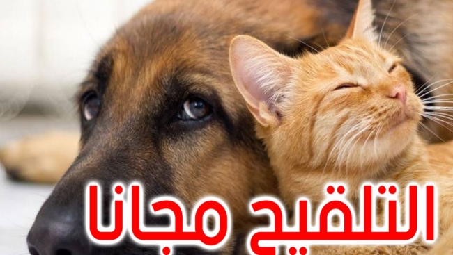 حملة وطنية مجانية و إجبارية لتلقيح الحيوانات ضد داء الكلب و هذه التفاصيل