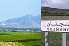 بنزرت: إقرار إجراءات عملية عاجلة لفض الإشكاليات العقارية المعطلة لمشروع القرية الحرفية بسجنان