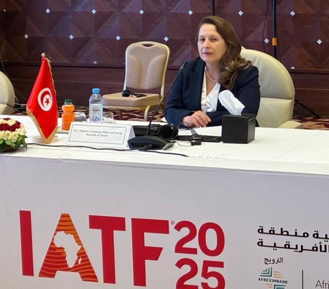 وزيرة الصناعة تؤكد أهمية التكامل الإفريقي للرفع من تنافسية قطاع صناعة السيارات