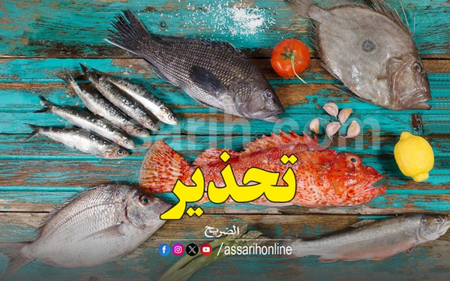 تحذيرات صحية بشأن خطورة استهلاك الأسماك النافقة
