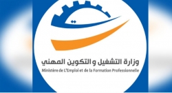 وزير التشغيل: اتفاقيات جديدة مع ليبيا وقطر لتأطير تشغيل التونسيين بالخارج وتعزيز الهجرة الدائرية