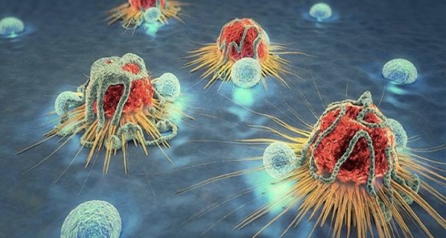 تونس تستضيف المؤتمر الدولي للجمعية الإفريقية لبحوث وعلاج السرطان