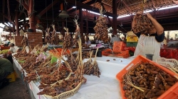  التمور : 115مليون دينار قيمة الصادرات خلال شهر 