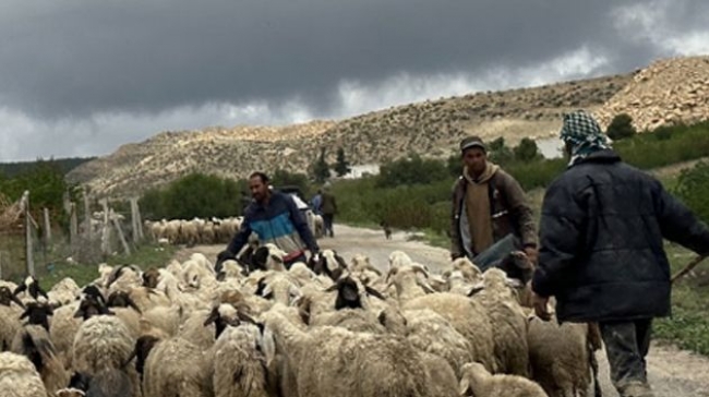 تقلبات جوية مرتقبة: وزارة الفلاحة تدعو الفلاحين إلى الحذر وحماية محاصيلهم