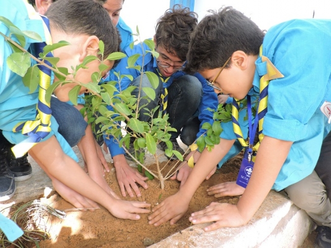 بعد خسارة نحو 56 ألف هكتار من الغابات: حملات تشجير واسعة في عيد الشجرة