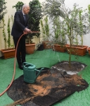 رئيس الجمهورية يشرف بمقر المجلس الاعلى للتربية والتعليم على الاحتفال بعيد الشجرة