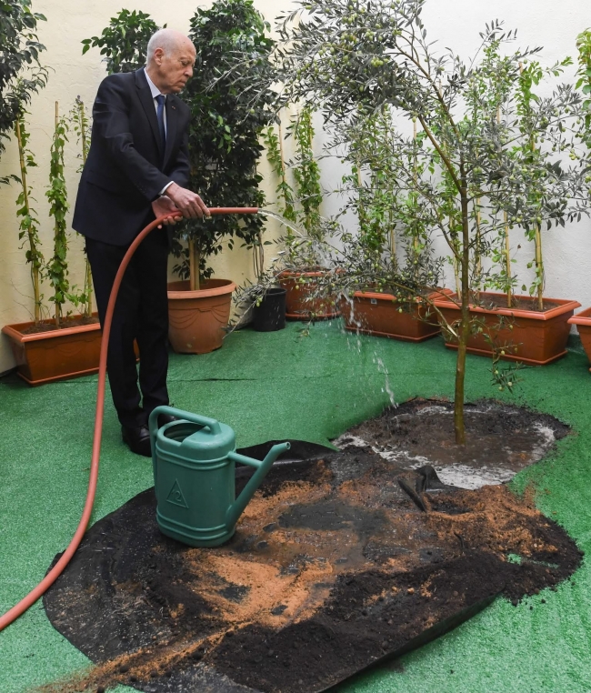 رئيس الجمهورية يشرف بمقر المجلس الاعلى للتربية والتعليم على الاحتفال بعيد الشجرة