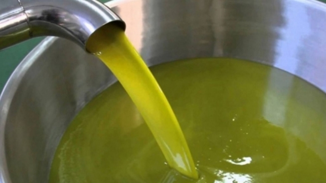 بداية من 17 نوفمبر: قبول زيت الزيتون من صغار الفلاحين بالمراكز الجهوية لديوان الزيت