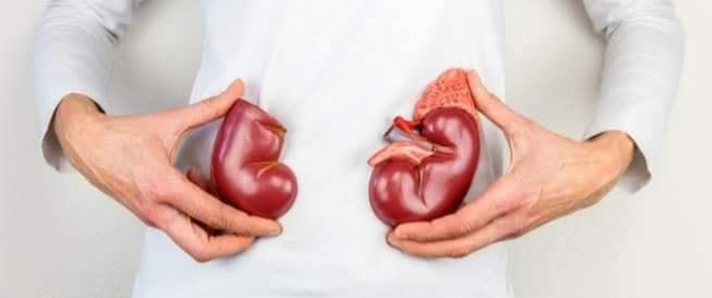 إجراء 15 عملية زرع أعضاء في أقل من شهر من 4 متبرعين متوفين دماغيا