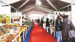 بداية من الغد: خيمة بشارع الحبيب بورقيبة لترويج التمور بأسعار تفاضلية