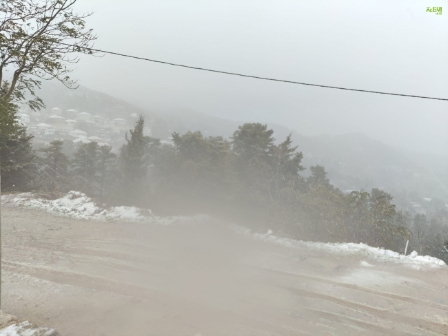 تقلبات جوية: مرصد سلامة المرور يدعو مستعملي الطريق إلى التقيّد بجملة من الإجراءات