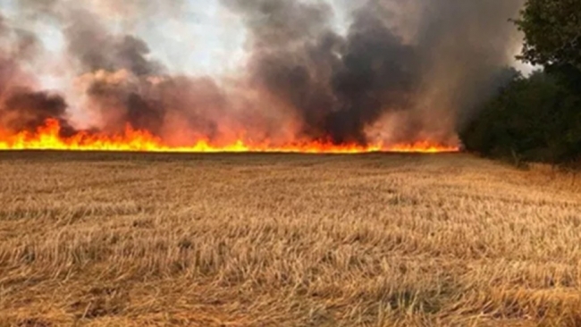  القصرين: السيطرة على حريق  اندلع في أكثر من 100 هكتار و الأبحاث الأولية  تؤكد أن عدد هام من الحرائق  كانت بفعل فاعل