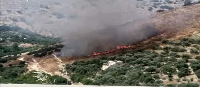 تمكنت فرق الإطفاء من إخماد حريق جبل عبد العظیم بالقصرين 