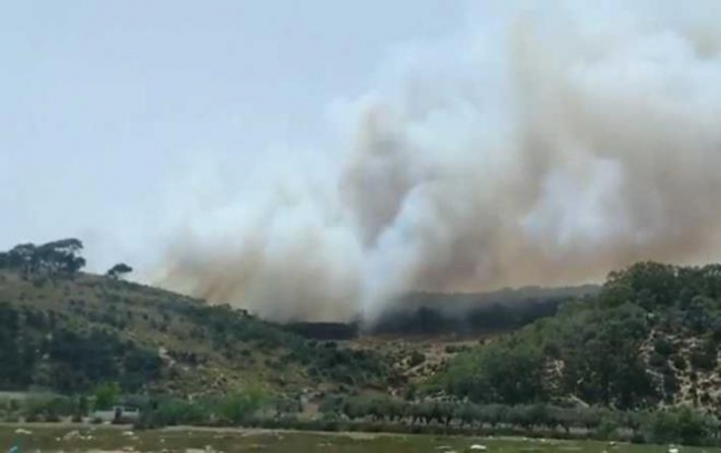 رئيس بلدية اريانة: الكشف عن ممرات خفية تستعمل للنفاذ الى غابة سيدي عمر برواد واشعال النيران فيها 